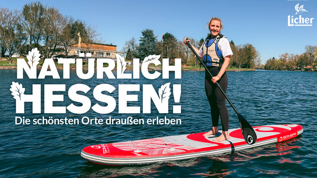 Licher & HIT RADIO FFH - Markenwerte und Medienpower
